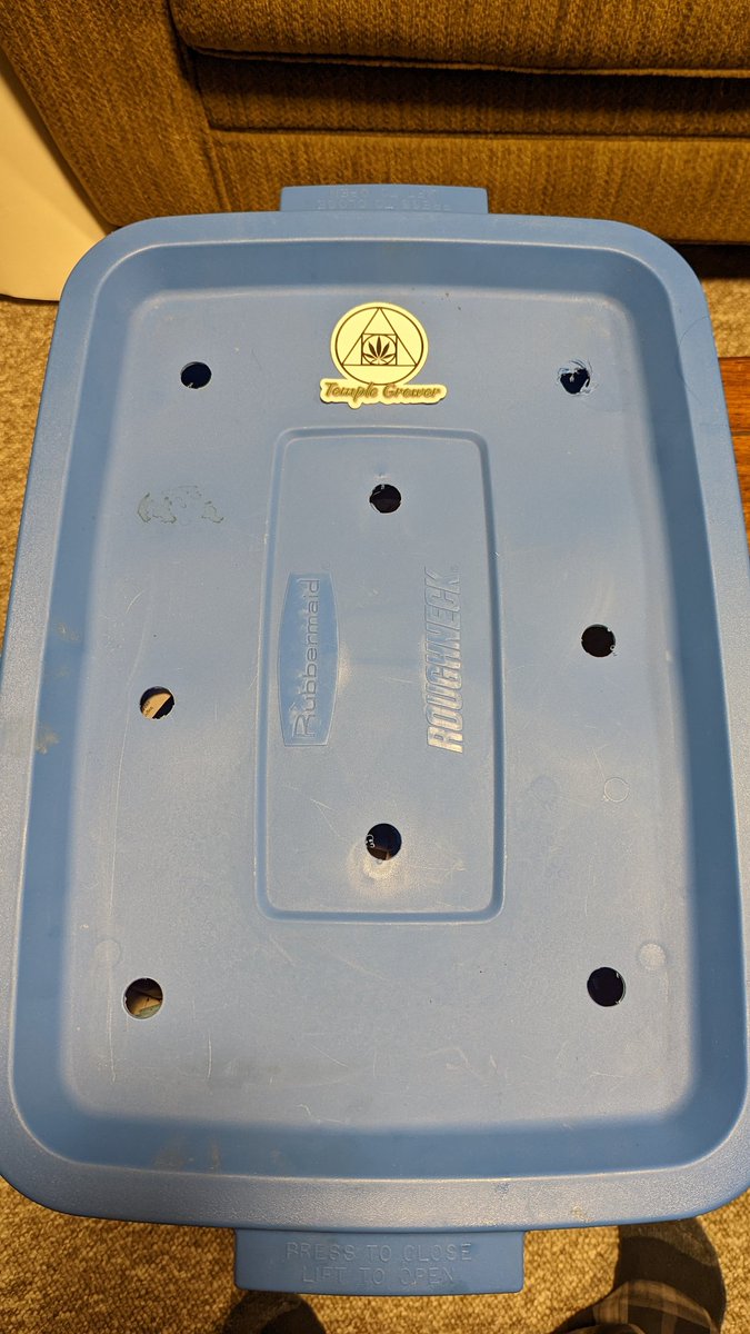 TempleGrower's tweet photo. These worms are SHITTING ALL OVER THE PLACE. Perfect. ๐ Love my #worms. Something everyone should have. Especially excellent for the 'I have no room to #compost'-type composters..๐๐๐ฑ
#Vermicompost #WormBin #RedWiggler #CompostYourOwn https://t.co/JPgzgfLa4w