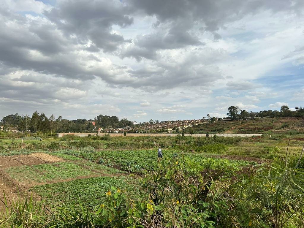 LORESHO; 16 ACRES in the market at Kes.80M per Acre(neg). Can be sold in smaller parcels from 2.5 acres.

Call : 0722396160