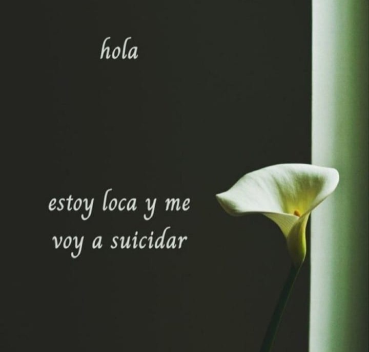 chikacuarioo's tweet photo. yo tuiteando https://t.co/STqEAFkHDW