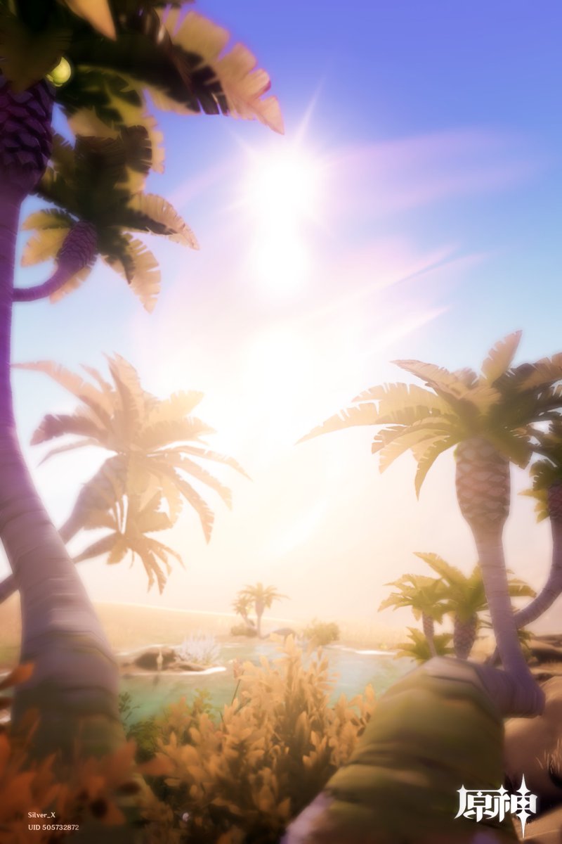 the desert is sooooo🥵🥵🥵🥵🥵
#原神写真部 #原神 #GenshinImpact