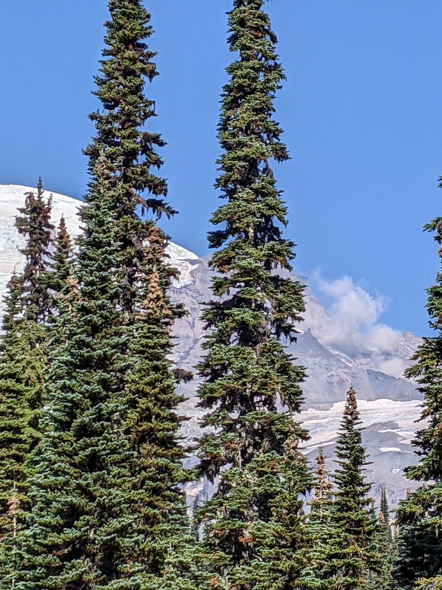 SarDres's tweet photo. @MountRainierNPS was there a huge rockfall at 11:45 am today? https://t.co/6S4Jx2auQ1