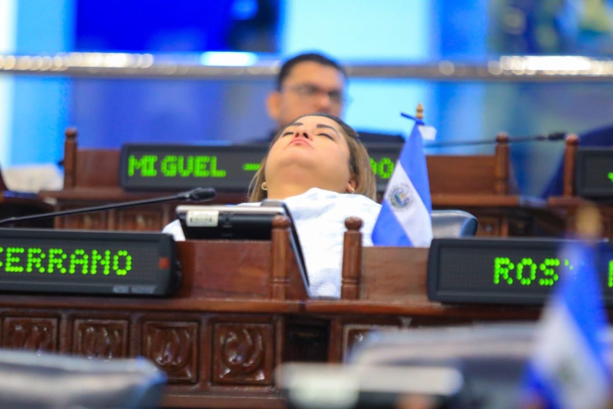 ESA_Noticias's tweet photo. Diputada de ARENA se durmió durante el desarrollo de la sesión plenaria extraordinaria para aprobar el estado de emergencia por el #HuracanJulia que afectará al territorio salvadoreño. https://t.co/sIBTouhkBI
