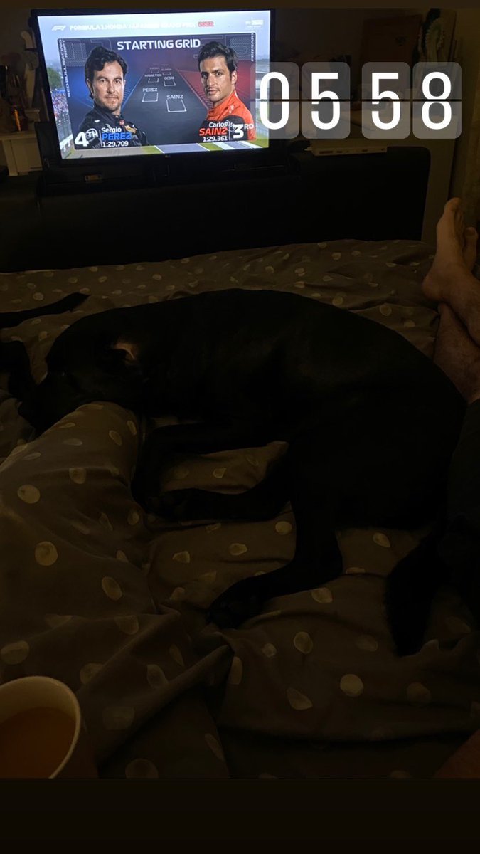 Amie Addison - Jones tweet media