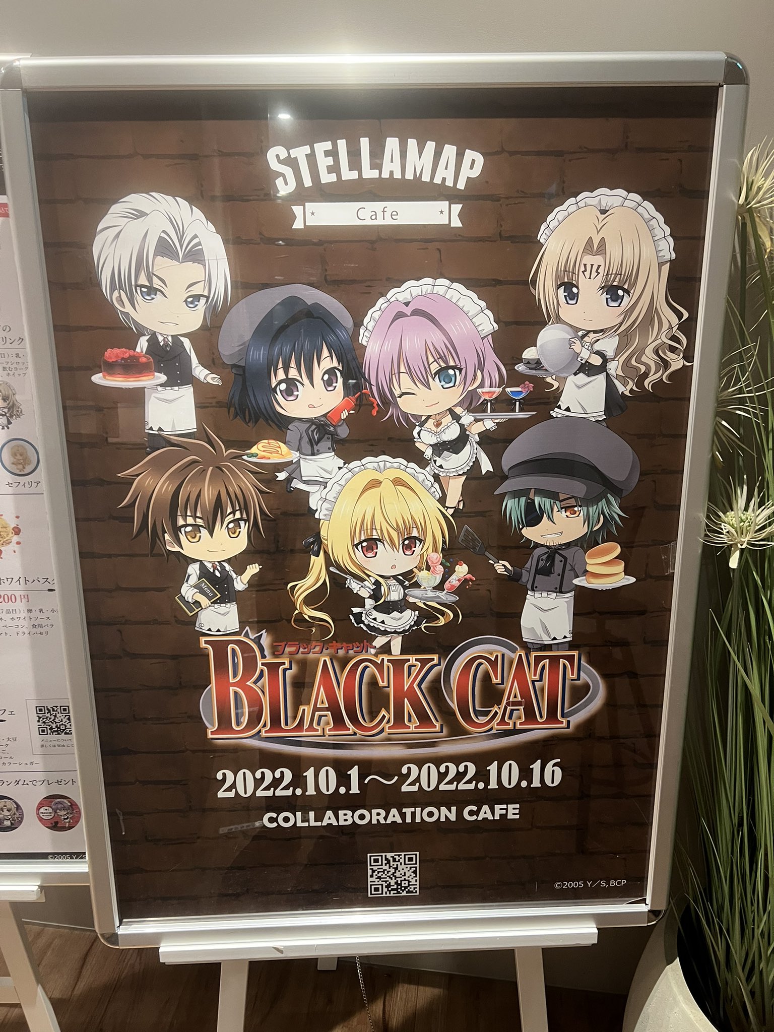 ブラックキャット Twitter Search Twitter