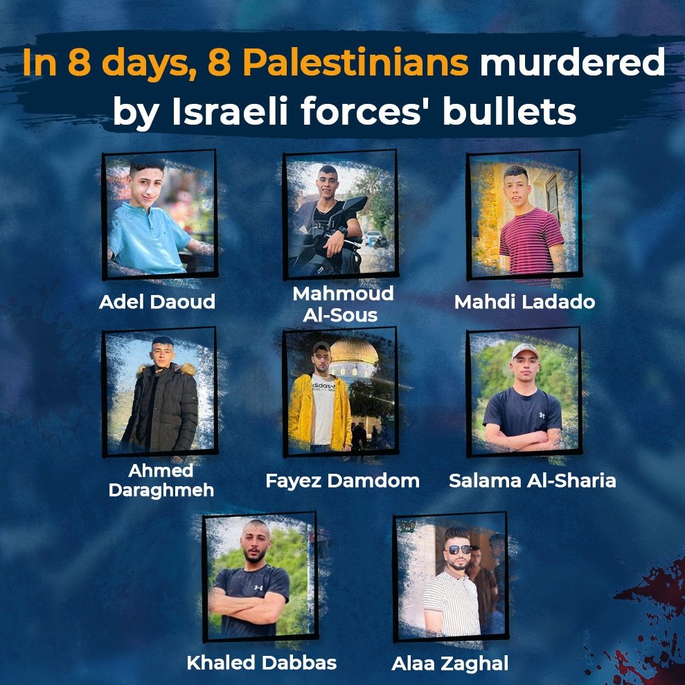 PalestineCultu1's tweet photo. 8 martyrs in 8 days! https://t.co/UIHLocfr1s