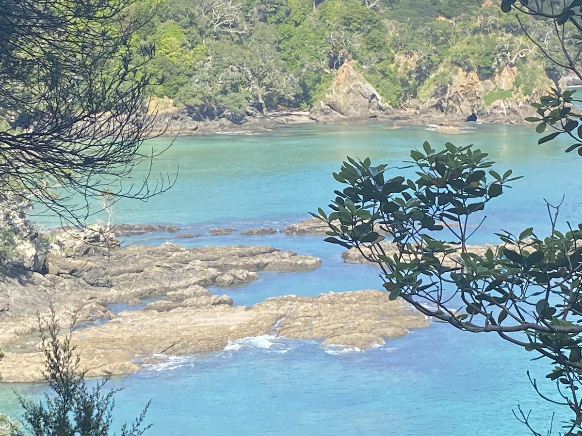 Actually here’s mine