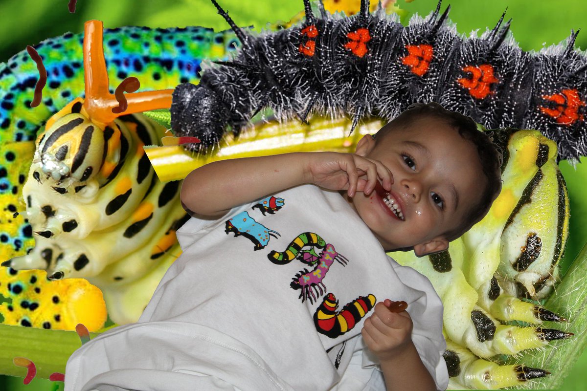 Slatershit tweet media