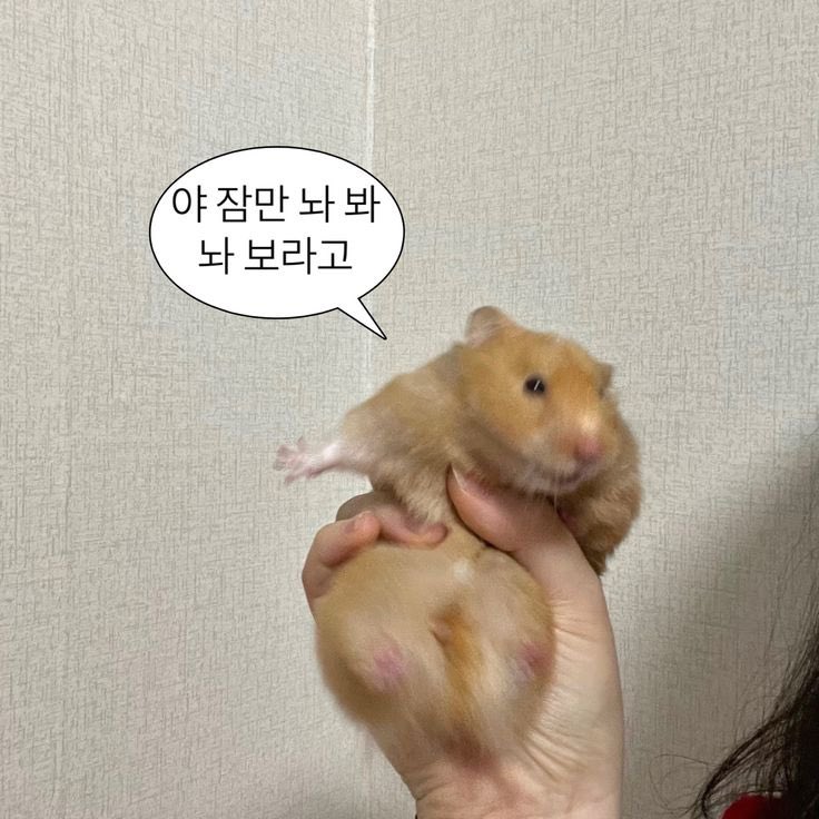 LAKE_OVO's tweet photo. https://t.co/DkclbeuLmf