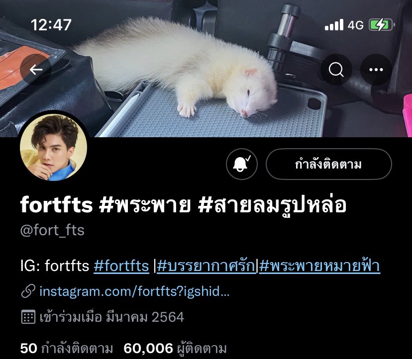 ปาป๋อง tweet media