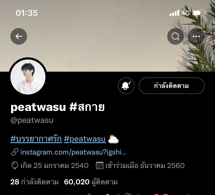 ปาป๋อง tweet media