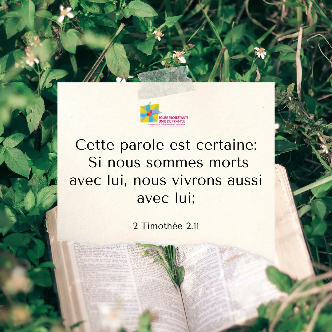EPUdF's tweet photo. Cette parole est certaine: Si nous sommes morts avec lui, nous vivrons aussi avec lui; 🙏
2 Timothée 2.11 📖 https://t.co/4aboyhOnXL