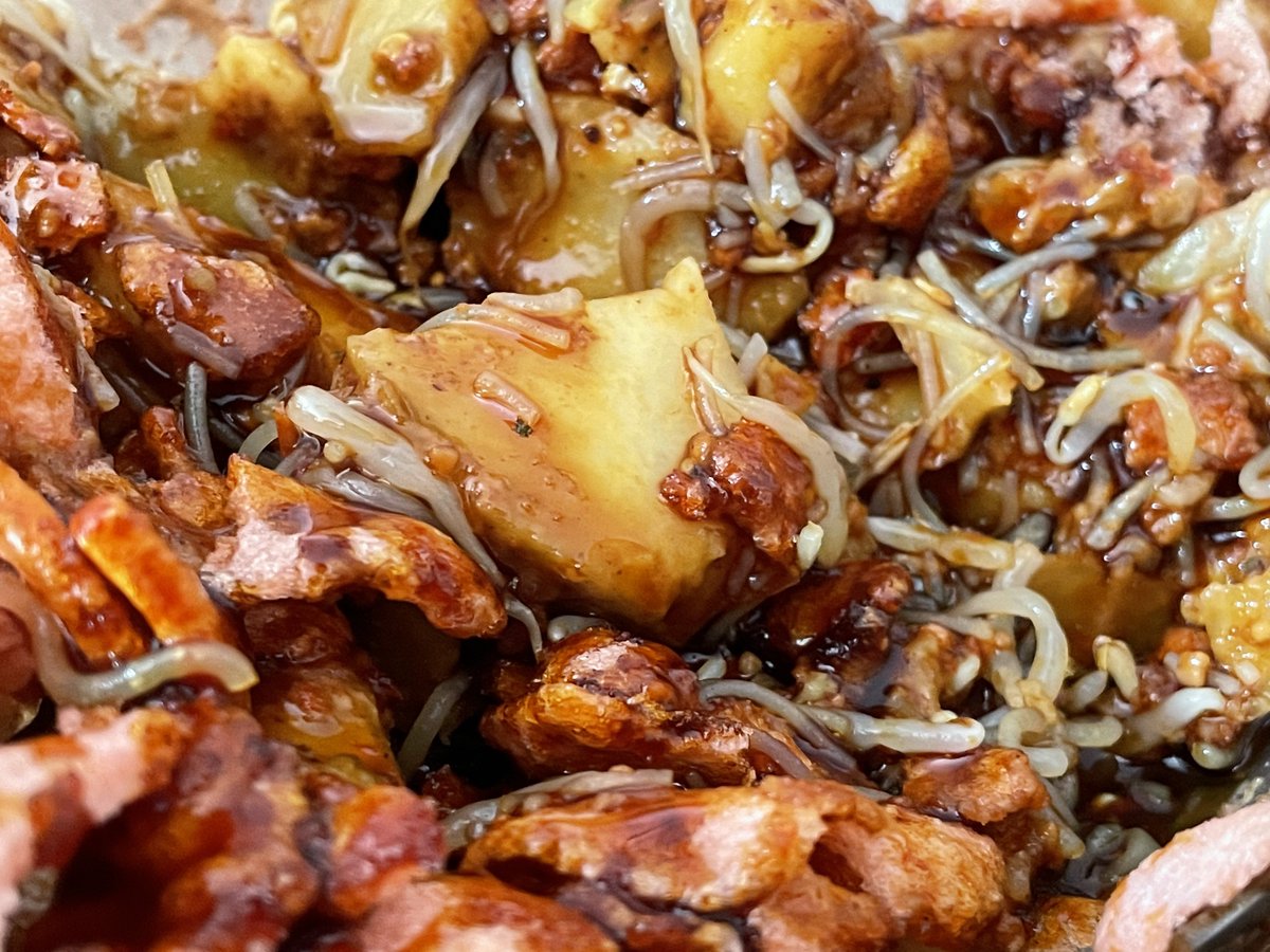 🦉ia Masna tweet media