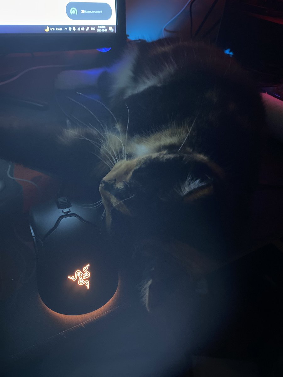 _Seneto's tweet image. Hey