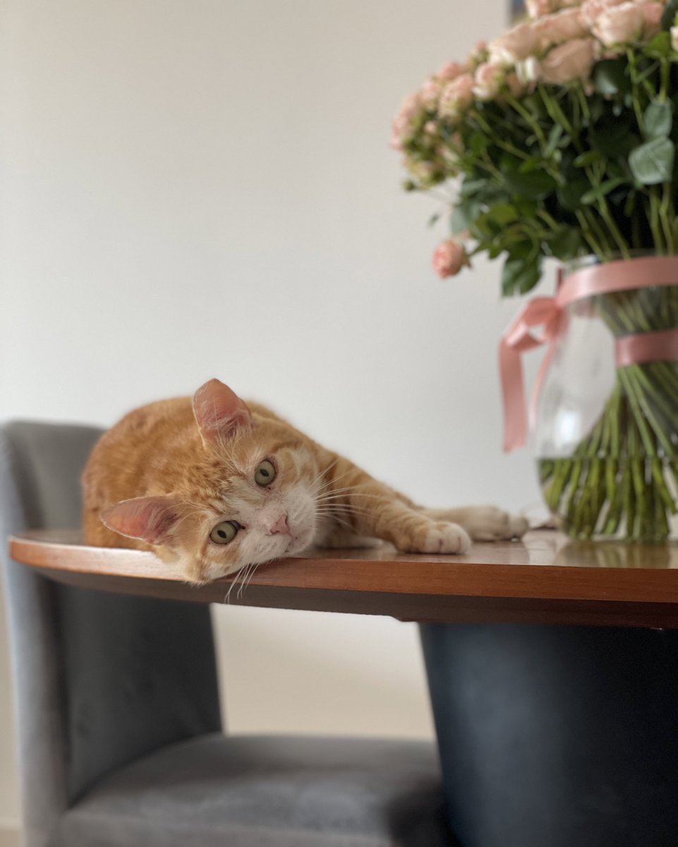 ох батюшки tweet media