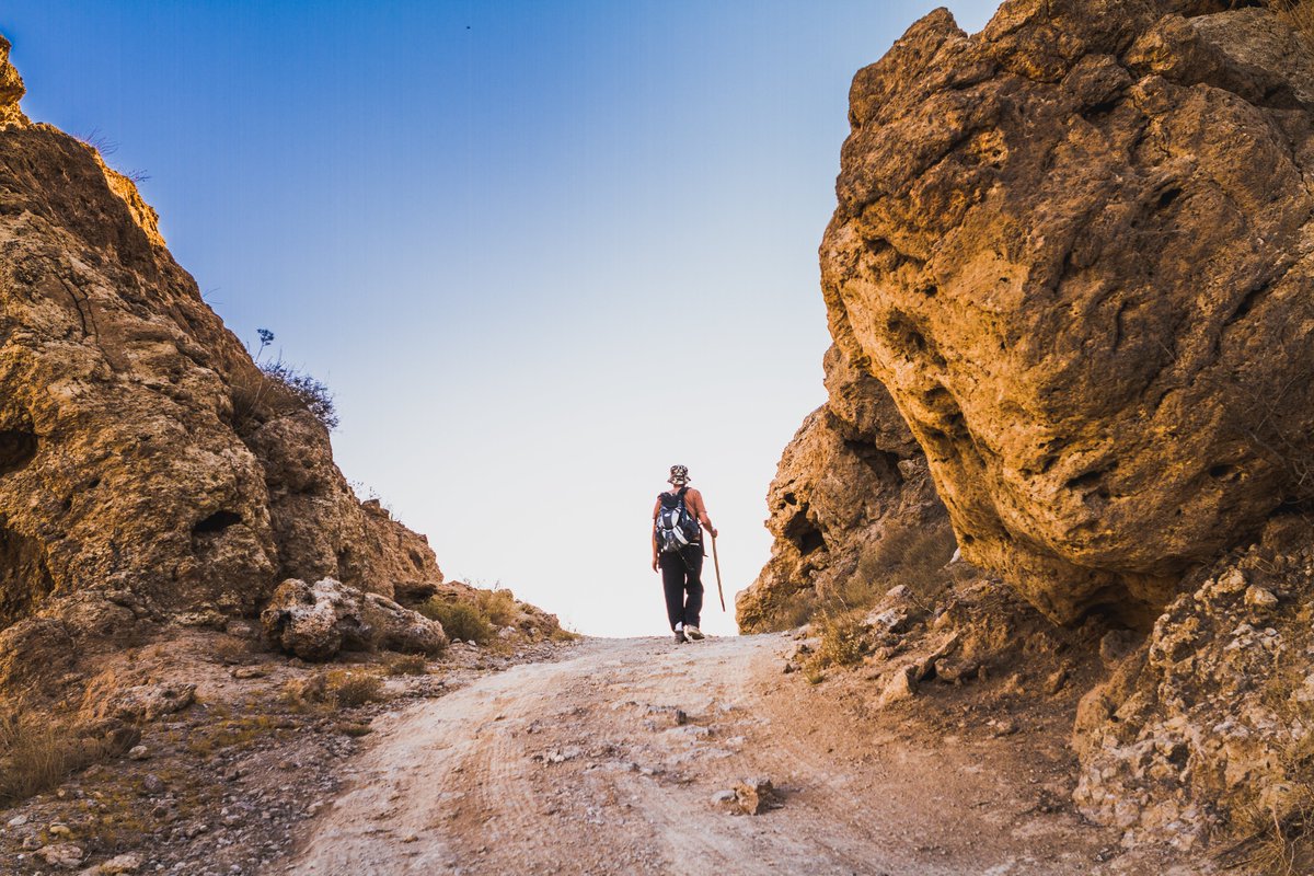 VisitJordan's tweet photo. Adventurous Jordanians & tourists can take part in the #JordanTrail #ThruHike2022. Region 4: 3 Wadis to Karak 28-31 Oct
Book now by visiting https://t.co/h8L2umlKHa /contact The #Jordan Trail Association at
+96264610999 or on FB
📸@AliBStudios
#VisitJordan #KingdomOfTime https://t.co/vO1VUnqNBB