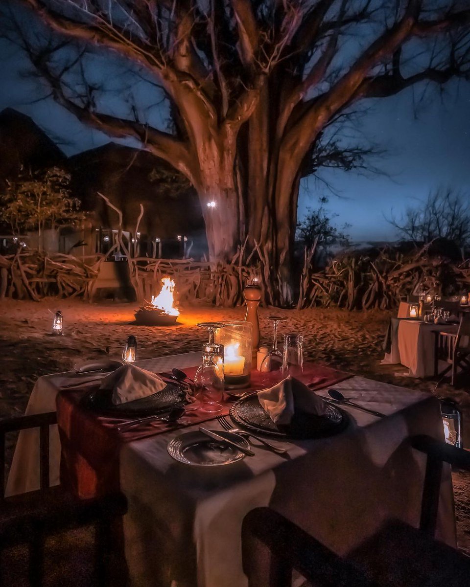 TreetopsTz's tweet photo. Boma | Dinner | Vibes
•
Immerse yourself in Masai culture over a romantic dinner under the iconic baobab. A place like no other, they say 😉
•
📍Tarangire Treetops
•
#romanticdinner #baobabtree #masaiculture #tarangirenationalpark #tanzaniansafari #africantravel https://t.co/j8WBaN0042