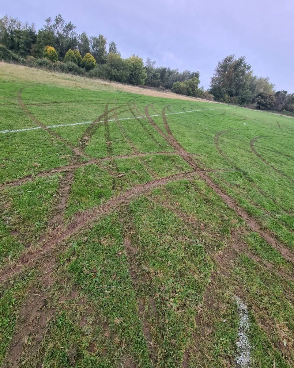 Tallaght RFC tweet media