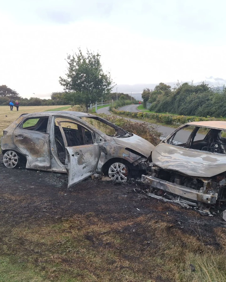 Tallaght RFC tweet media