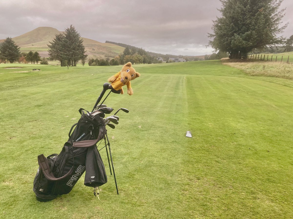 stufergusonmg's tweet photo. Stick n Ball Sunday on The Moor #ProperTest #GolfChat #GolfDiv https://t.co/0OnfzL83ra