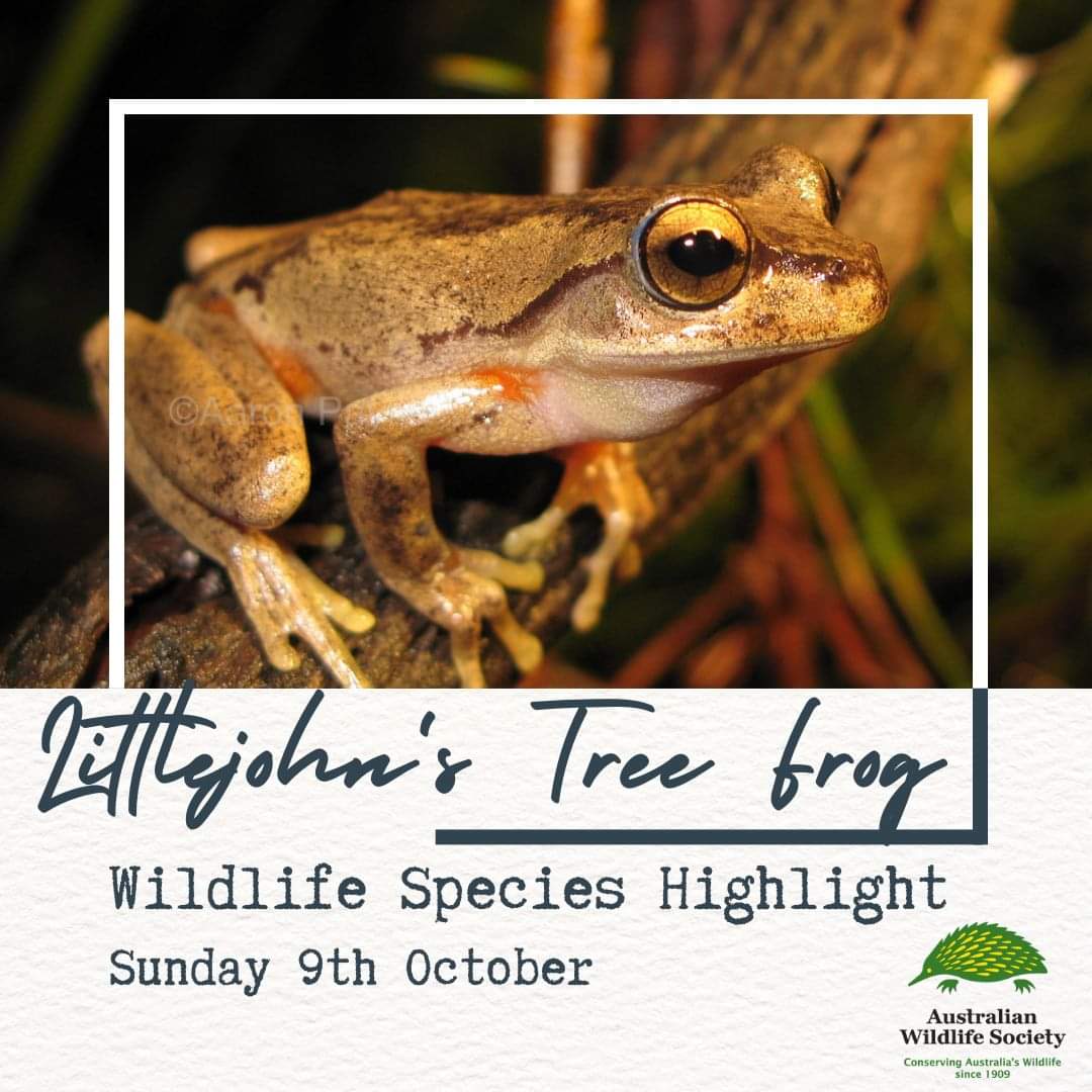 So excited to have this wildlife doco by @mhairifenton featured as part of #wildlifeweek.