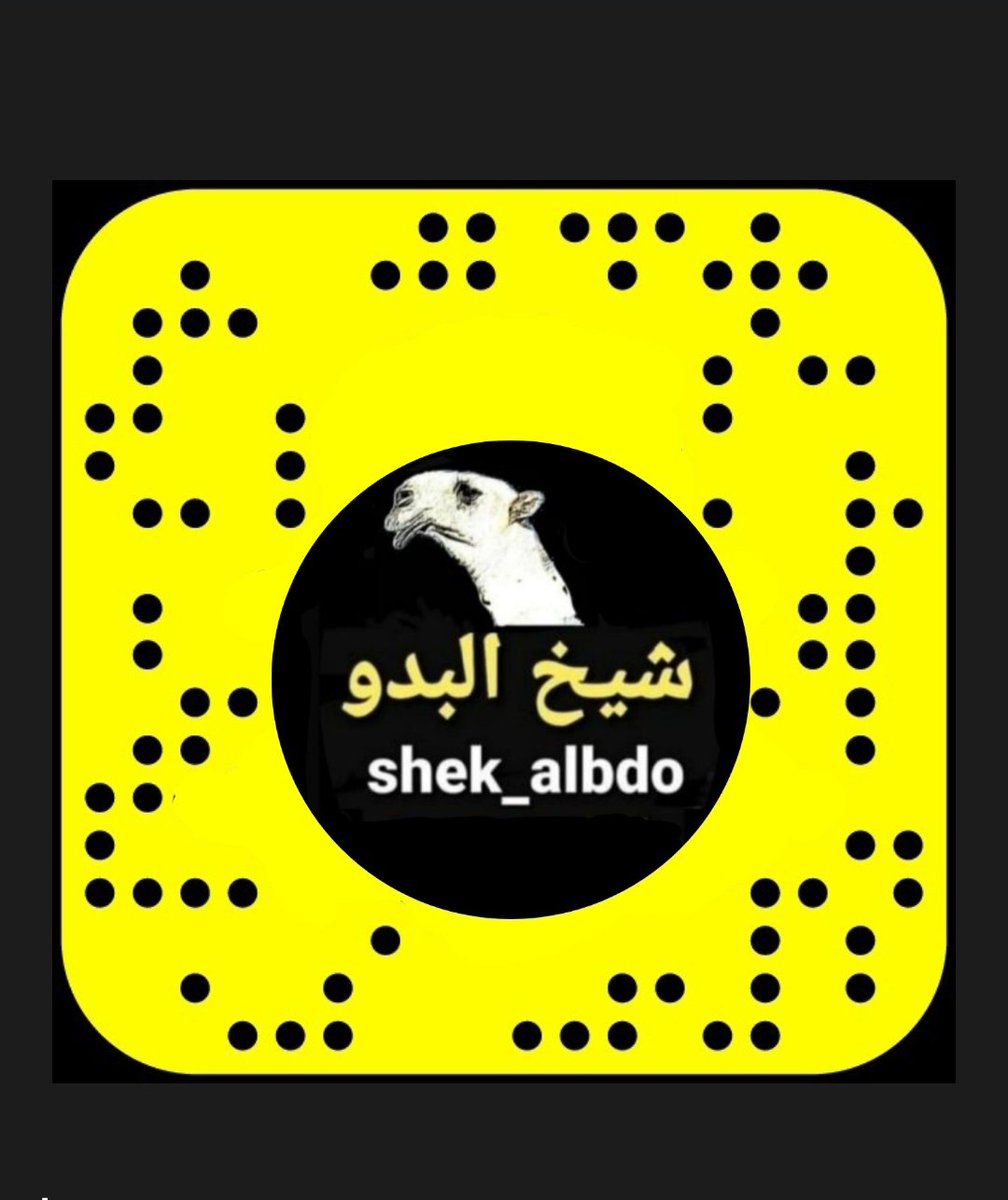 شيخ البدو tweet media