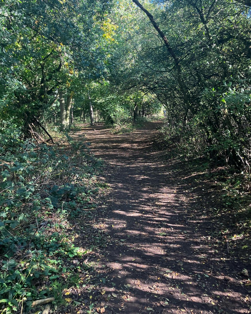 Some much needed peace in the gorgeous autumn sunshine ☀️