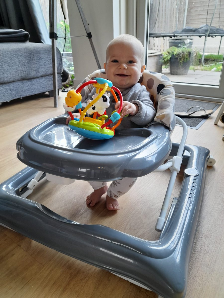 Meintjep's tweet photo. Deze knappert alweer 7 maanden vandaag#trotseoma https://t.co/TbbAOgacT3