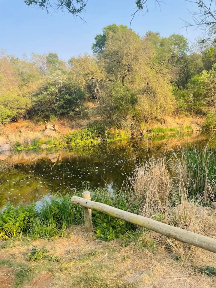 Mrbeard____'s tweet image. 📍