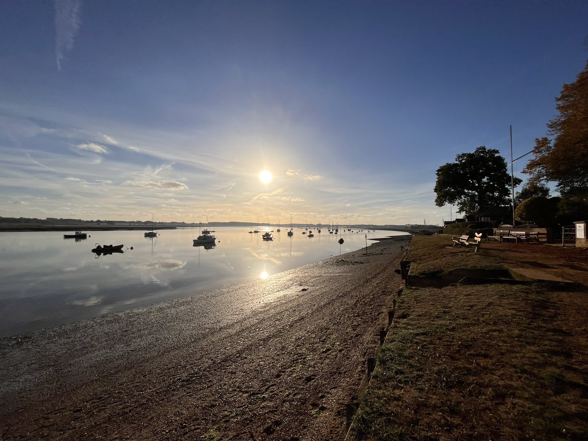 Swimscaper tweet media