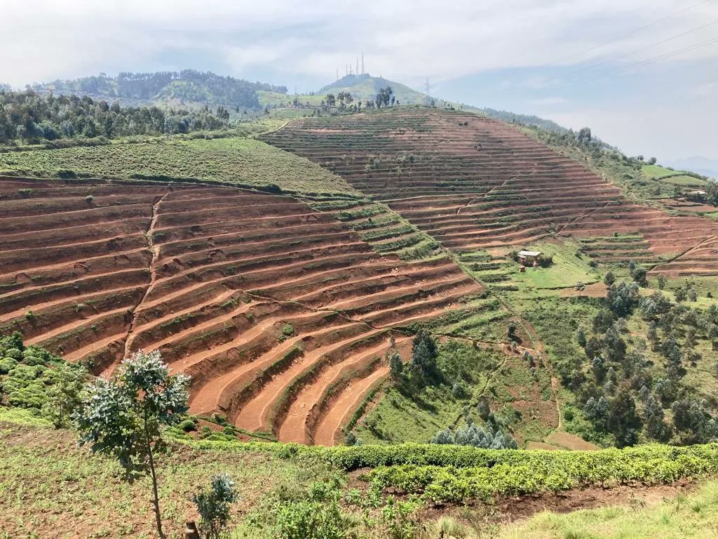 Ultimates2022's tweet photo. #CNT is a pathway that runs between the Nile and Congo river. Discover the wonders or other trips by travelling with Ultimate Tours and Travels  +250787550994 or info@ultimatetoursandtravels.com

#Rwanda #hiking #biking #trekking #tourism #travel #adventure #usa #canada #europe https://t.co/S1LfiSGuYS