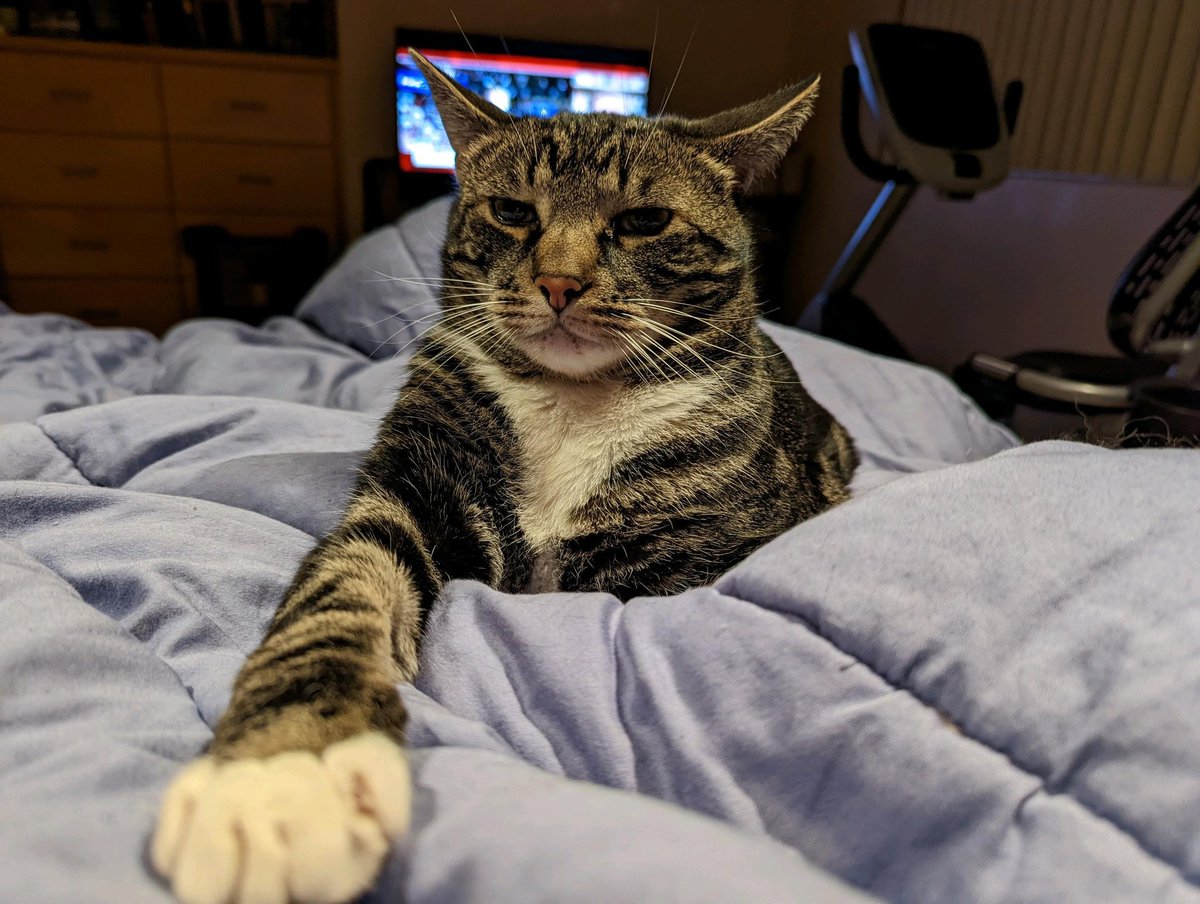 IvanaBoastsky (fully vaxxed & over taxed) tweet media