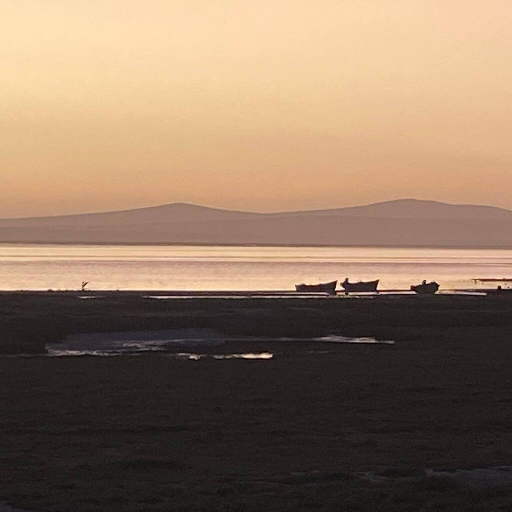 A week in the western Cape - so good to be back, it’s been too long 🇿🇦 
#capetown #kaapstad #southafrica #capewine2022 #capewinelands #churchheaven #africanfamily #cheninblanc #capewestcoast #stofbergsfontein instagr.am/p/Cje8j46NAEO/