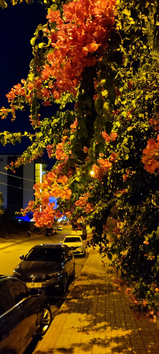 Где то в Тосмуре.