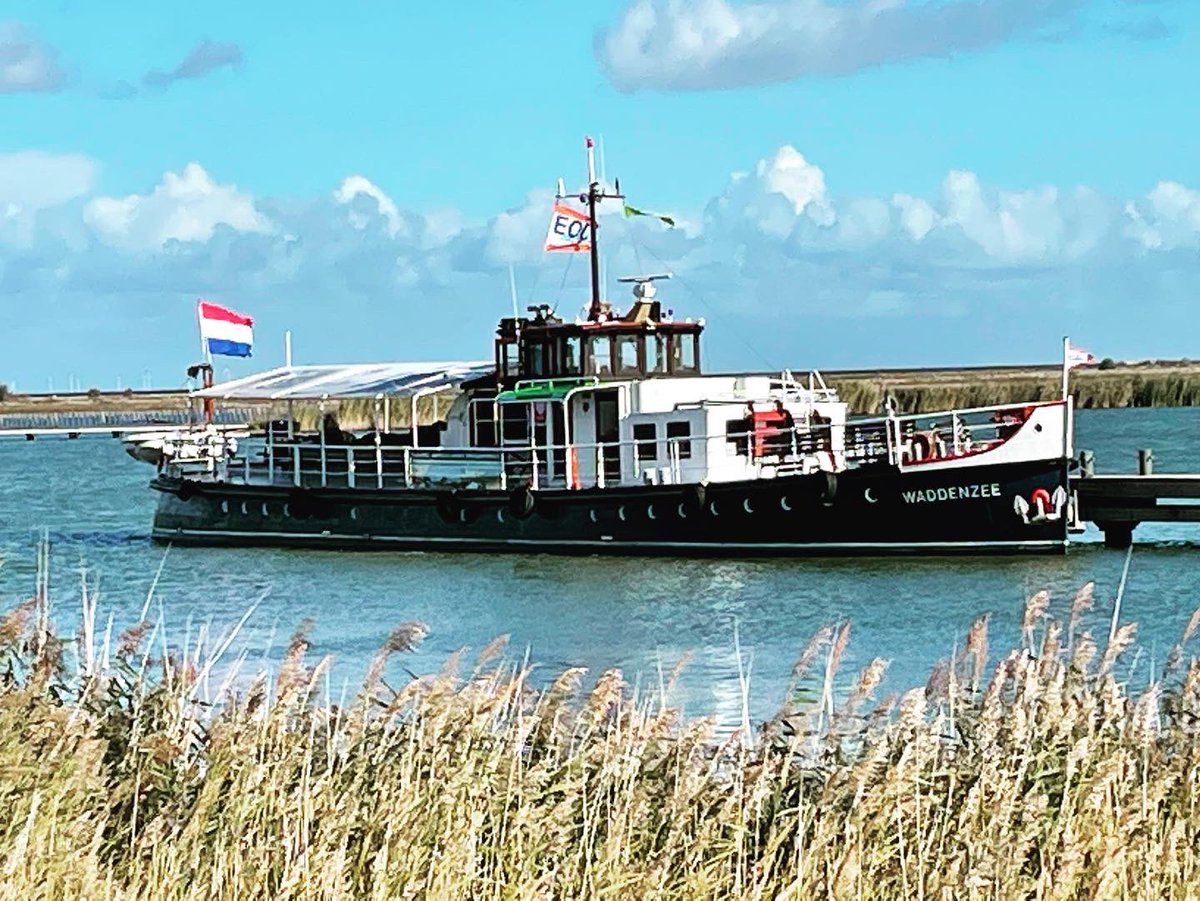 ms Waddenzee tweet media