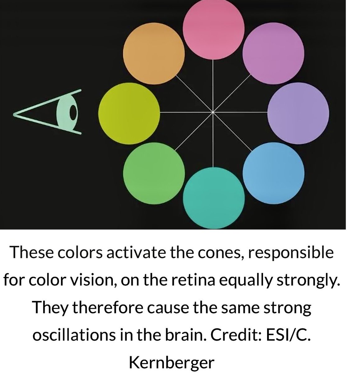 Eveline Ruehlin tweet media