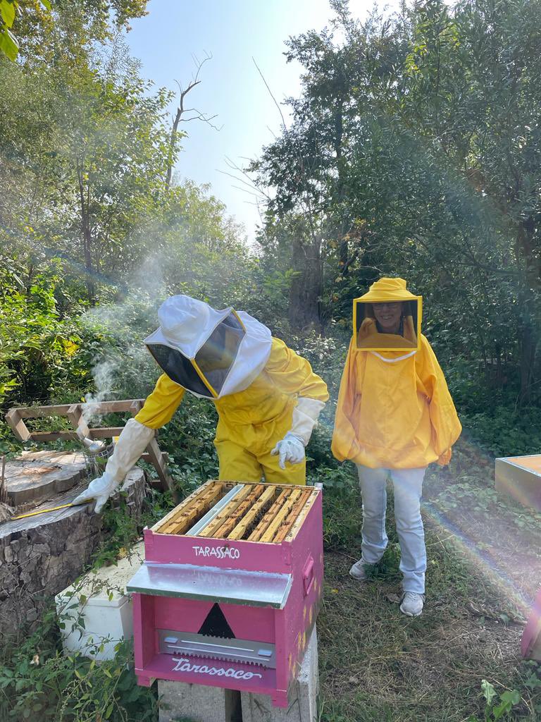 LeApiAlCastello's tweet photo. We are busy organizing our first public event, but we always have the time to check on our #bees #wellbeing They are alive and kicking; we couldn’t be more proud of how our first #beekeeping year is going ☺️ #SaveTheBees #grassrootproject 💚🐝 https://t.co/Q9Rw25Z10v