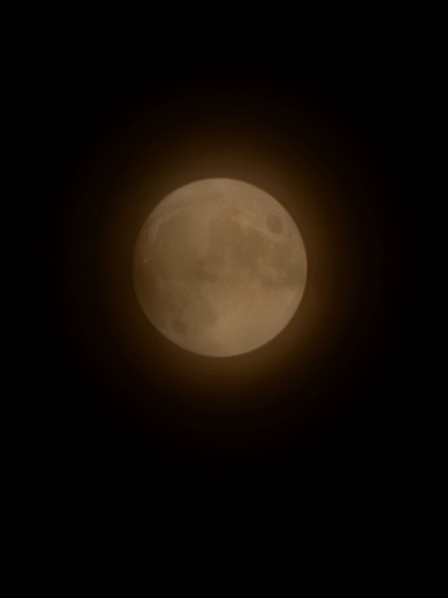 Francesco Bertoni (@maggiolino1979) on Twitter photo 