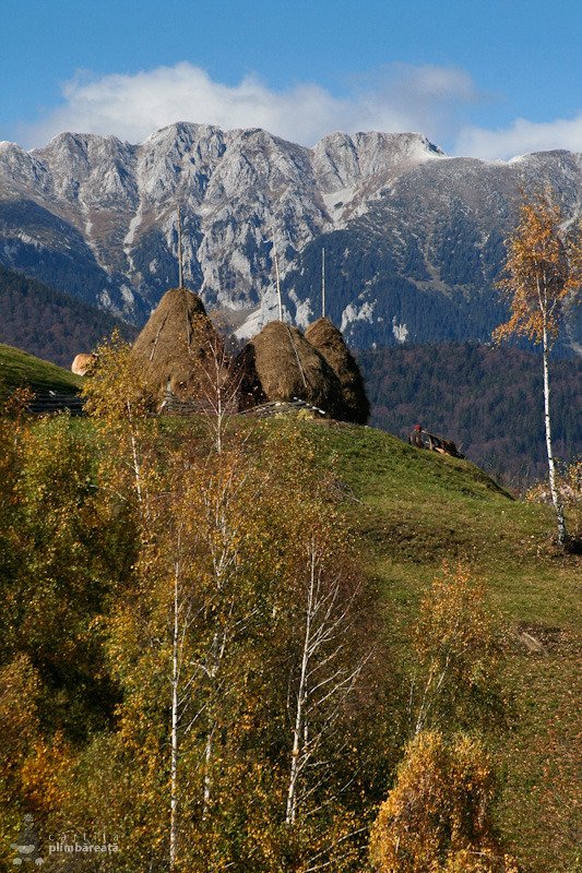 CameliaCristi98's tweet photo. #Toamna frumoasă din🍁🍂
#Bucegi și #PiatraCraiului
#Satul Peștera https://t.co/2N8Z3DjZVz