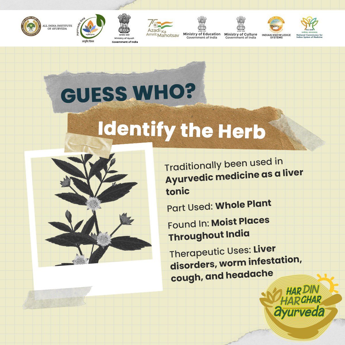 moayush's tweet photo. Quiz Time ‼️

How good is your knowledge of #Ayurveda?
Guess the herb and write your answers in the comment section below ⬇️

Stay tuned to know the correct answer!

#HarDinHarGharAyurveda #AyurvedaDay2022 https://t.co/UMCLn9piAl