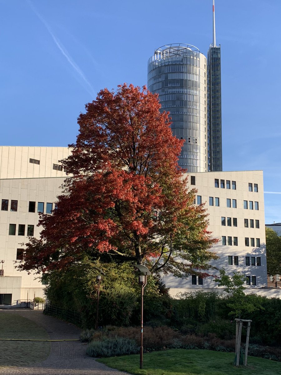 Zehnersassa's tweet photo. So. Es hat einen gefälligen Sonntag nachgerade im #Ruhrpott #Essen #Stadtgarten https://t.co/pgZrDLqz1R