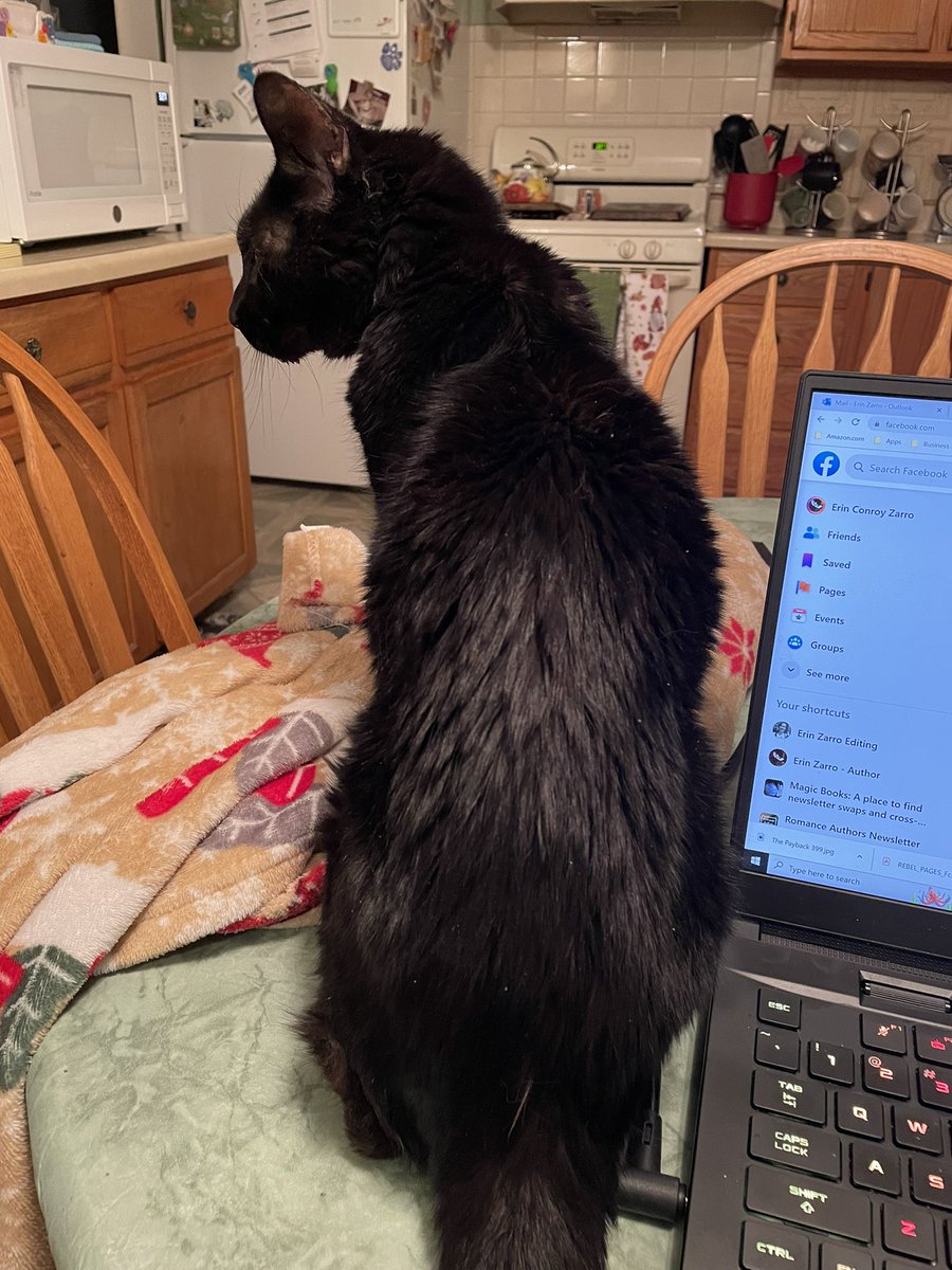 ekendall's tweet photo. Helper Kitty posing by my laptop. Is she working hard or hardly working? Lol #nightshift #helperkitty #mylaptopisacattoy https://t.co/zTG0KWUsqE