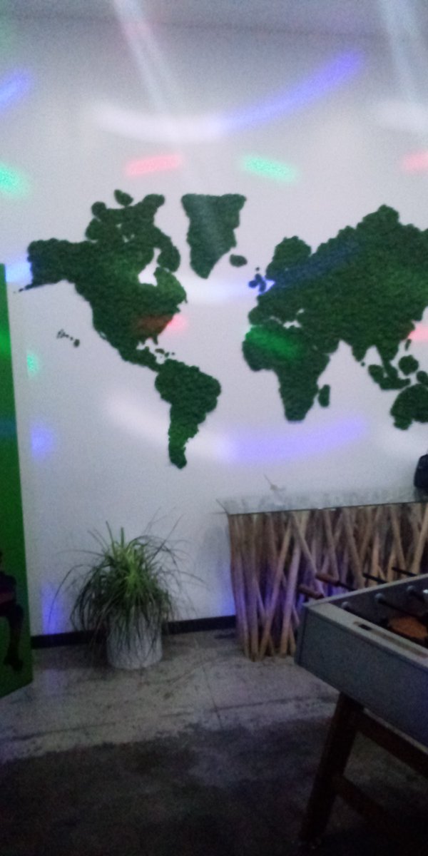 MorganaTalos tweet media