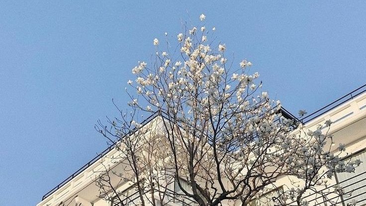 —💙🍨I’ll never finish falling in love with you Jeon Jungkook ♥︎

#방탄소년단 #JK #jungkook
 
<a href="/BTS_twt/">방탄소년단</a>