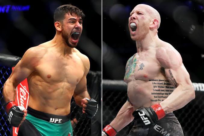 Benny P 🇦🇺 tweet media