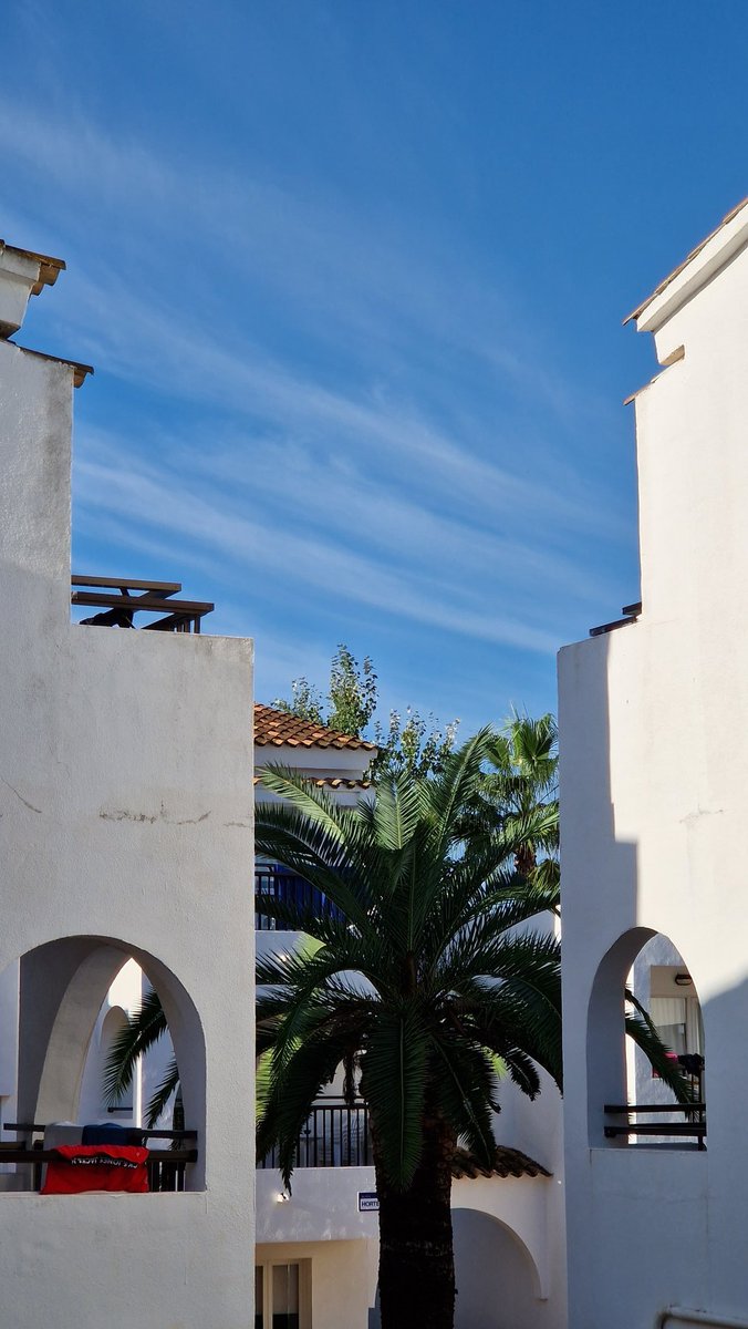 DevilishMonkey8's tweet photo. Good morning twitterverse. Hope everyone is having an awesome weekend. I sure am in Mallorca #SpainIsBeautiful #ILoveSpain #VisitSpain https://t.co/OX2fX82nnE