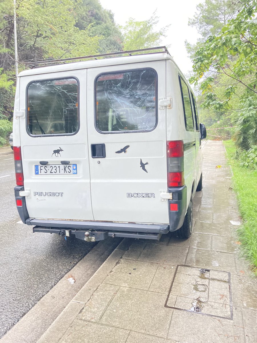 Lapeau2Lours's tweet photo. #VVMT #GCUM @PMdeNice il était déjà là hier soir. Fallait le verbaliser quand les gars ont coupé l’arbre à 6 du mat. C’était peut-être trop tôt et il pleuvait. Il en faut du courage pour sortir sous la pluie. https://t.co/y94qN0Jzsq