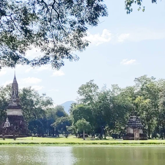 kenlynx's tweet photo. #view from Wat Trapang Ngoen(Silver pond). #Sukhothai,World heritage, #Thailand
 #銀の池 #ワットトラパングーン の小島周辺からの眺め。東側に #ワットマハータート が、西側には  #遊行仏 等が見えます。#view
 #眺め ⁡ #タイ #watmahathat #スコータイ #sukhothaihistoricalpark #世界遺産 https://t.co/X06jPtlyCl