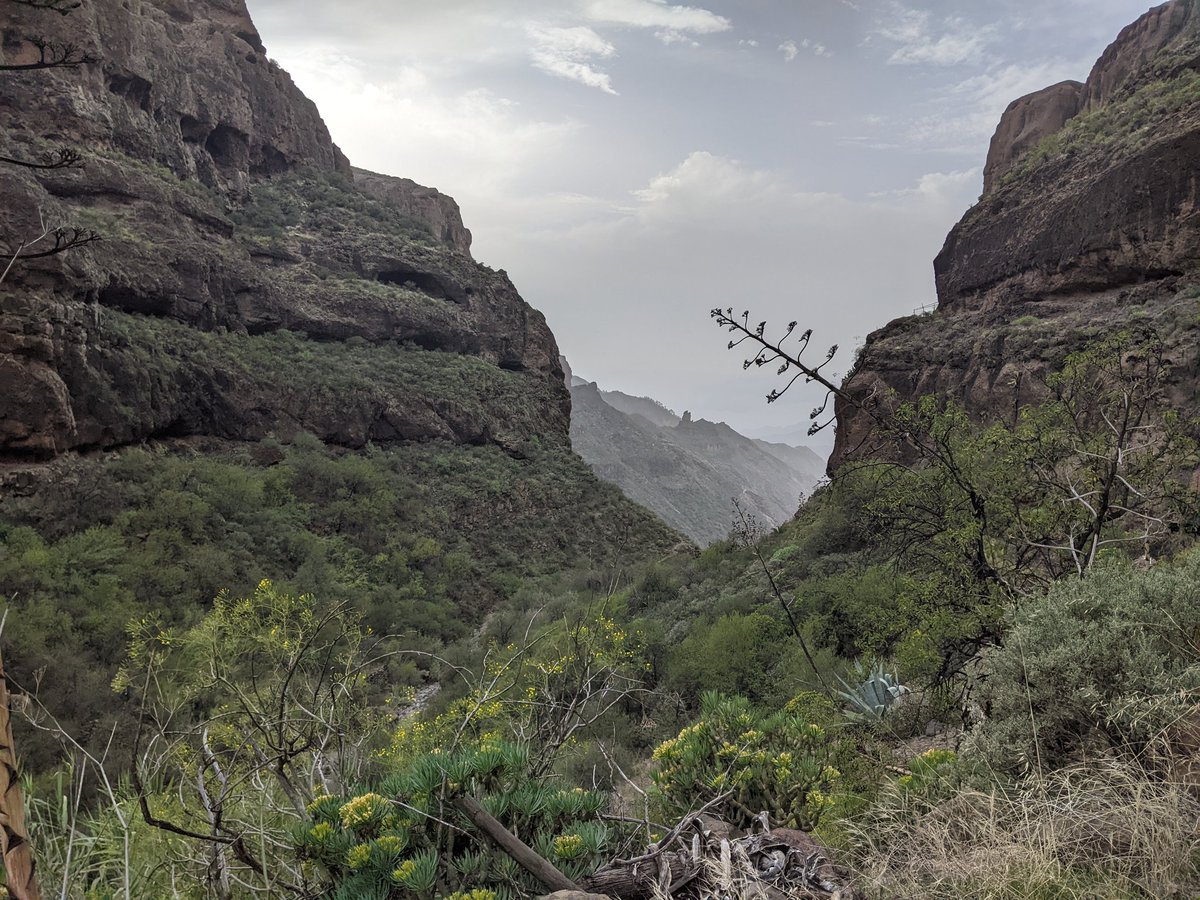 emi_hanes's tweet photo. Hey @elonmusk , when is Starlink starting coverage on the Canarian islands? https://t.co/jDx1MMe3lb