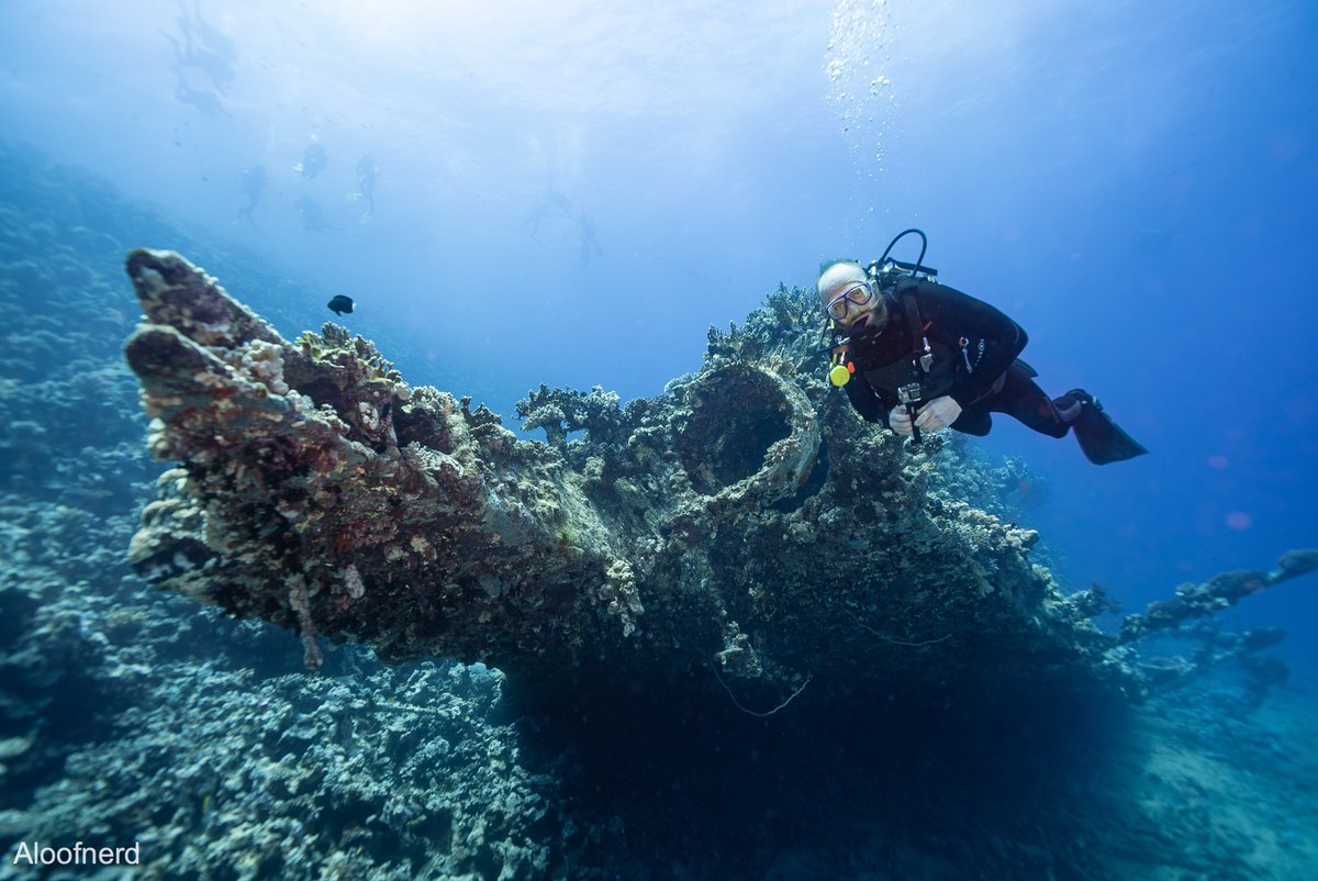 #Shipwrecks Sunday!
.
#wreckdiving #wreckdiver #scubadivingmag #diverite #sunkenship #oceandiving #scuba_diving #divingwrecks #divephoto #WrecksAtRisk #uwlife #divetheworld #maritimearchaeology #archaeology #divingadventure #underwatershot #archaeology_news #shipwreckphotography