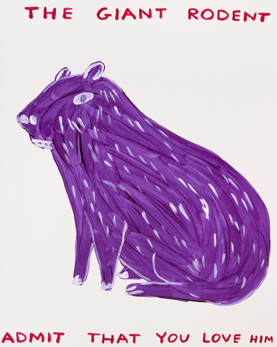 davidshrigley's tweet photo. https://t.co/ya3vRVO9Hb